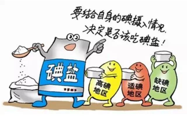 榴莲app破解版厂家