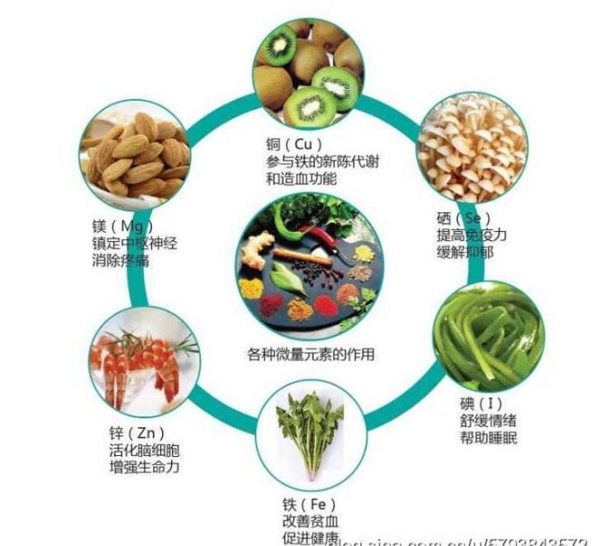 全自动榴莲视频app色版网站分析头发检测的结果