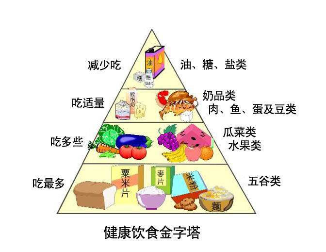 医用榴莲视频app色版网站的原理与结构