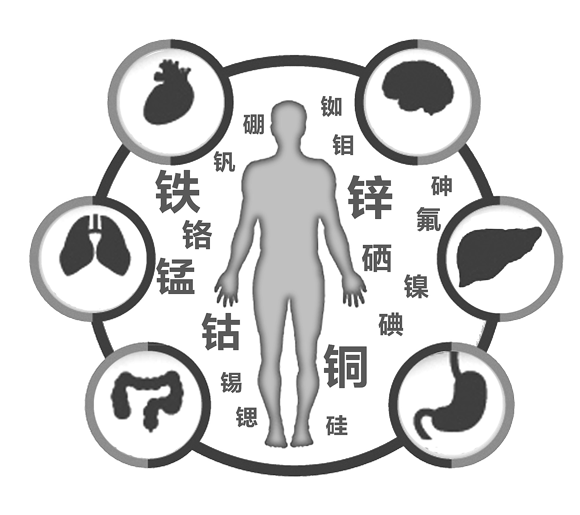 榴莲视频app色版网站检查有必要吗